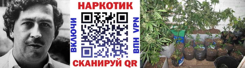 Купить наркотики Родники Галлюциногенные грибы  Каннабис  КЕТАМИН  Гашиш  A PVP  Меф 