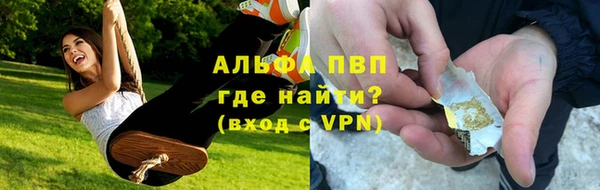 индика Новокубанск