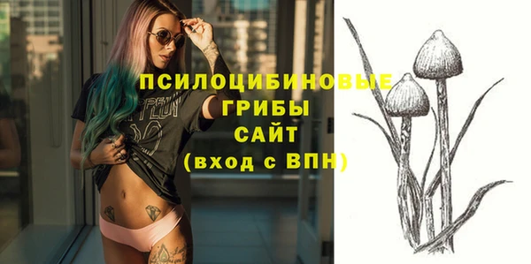 а пвп мука Саки