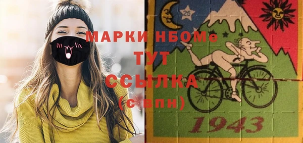 индика Новокубанск