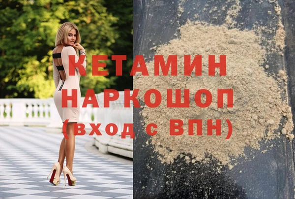 сатива Болотное