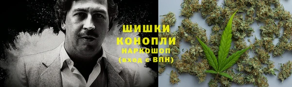 индика Новокубанск