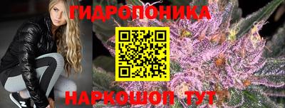 spice Гусь-Хрустальный