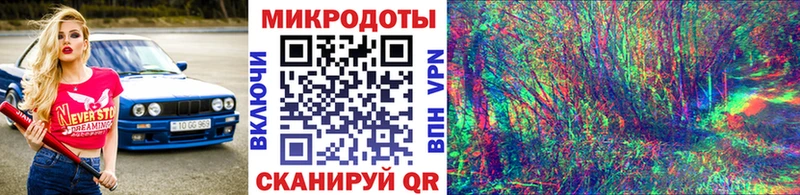 сколько стоит  Родники  Псилоцибиновые грибы Cubensis 