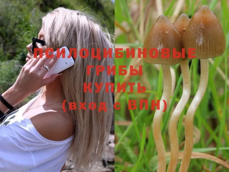 Псилоцибиновые грибы Magic Shrooms Родники