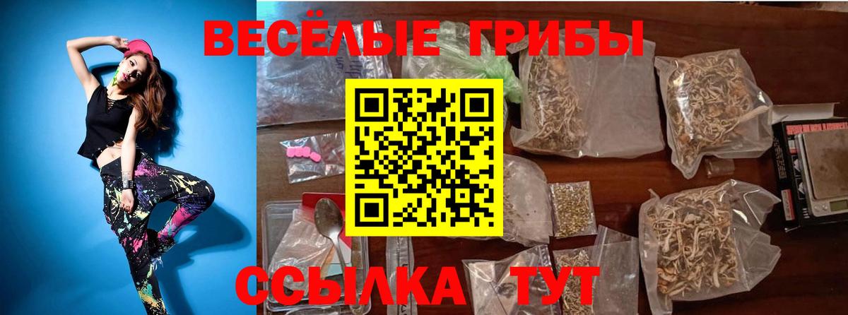 Родники  Галлюциногенные грибы прущие грибы  Вход с VPN 