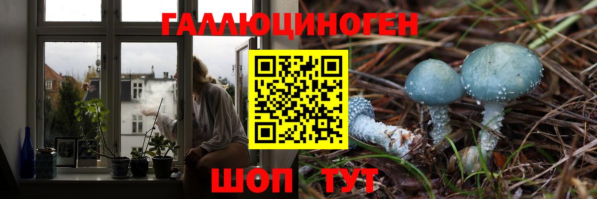 Галлюциногенные грибы прущие грибы Родники