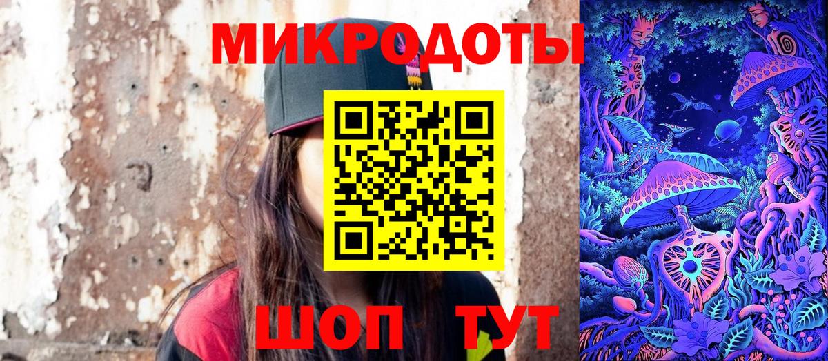 Псилоцибиновые грибы Psilocybe  Родники 